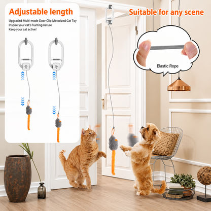 PawsHaus Interactive Cat Toy