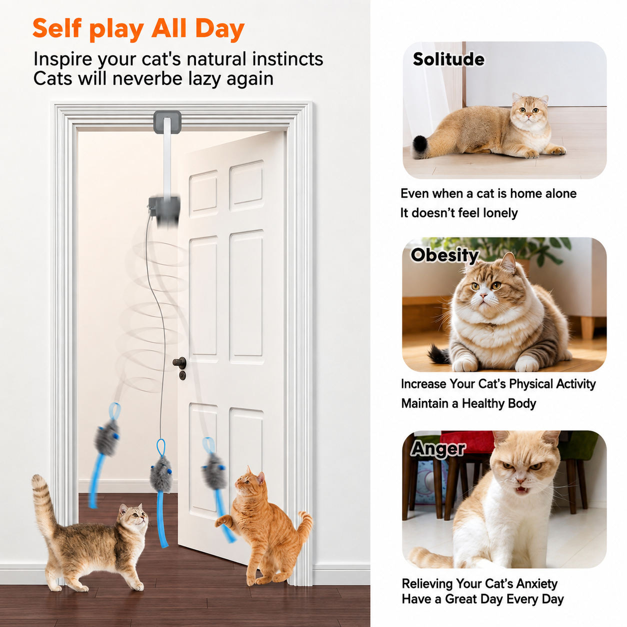 PawsHaus Interactive Cat Toy